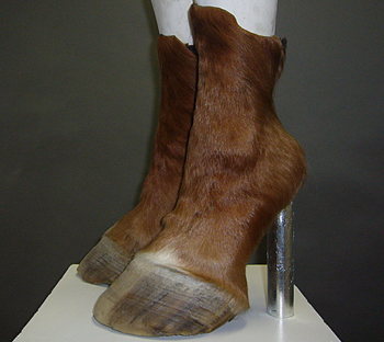 cow hoof boots